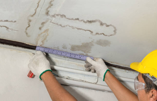 Reliable Mold Remediation contractor in Cottontown, TN by Water Damage Irwin